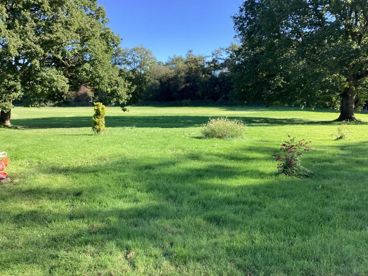 Vigo Retreat Cabin 3 Sevenoaks Bagian luar foto